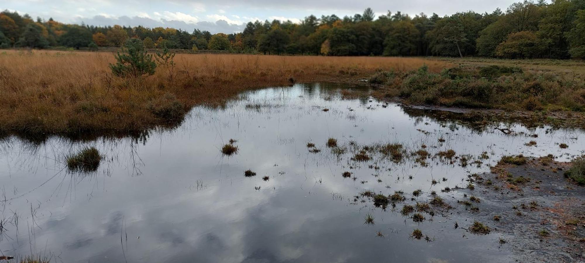 Mooi Drenthe Villa Wezuperbrug Exteriör bild