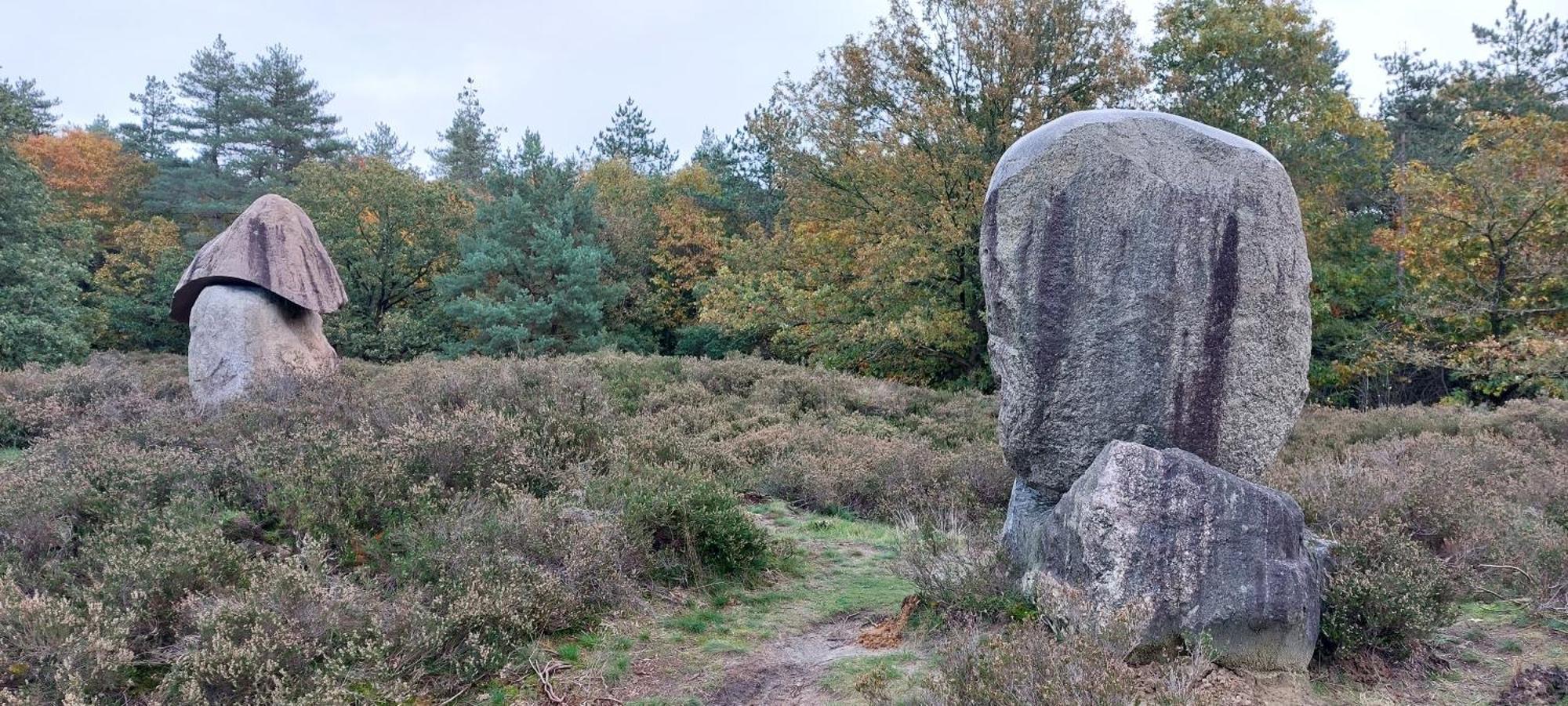 Mooi Drenthe Villa Wezuperbrug Exteriör bild