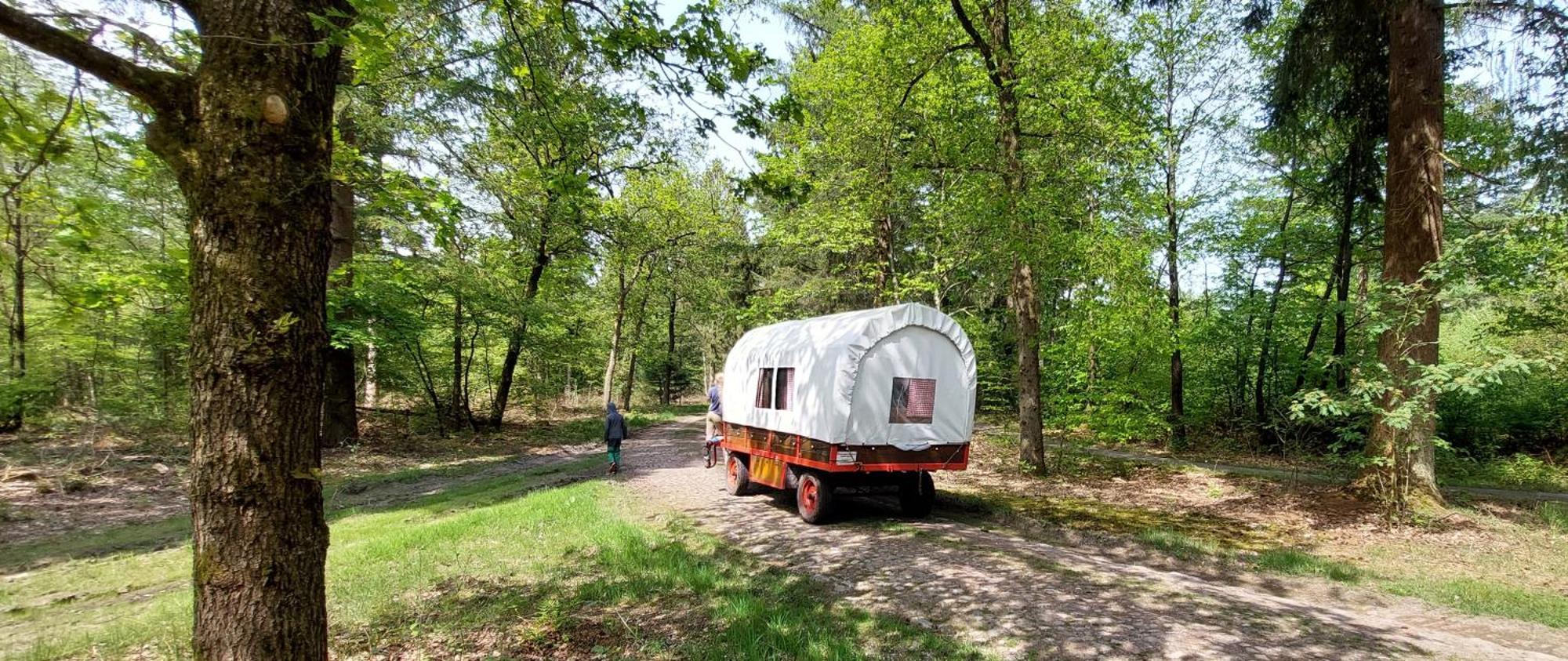 Mooi Drenthe Villa Wezuperbrug Exteriör bild